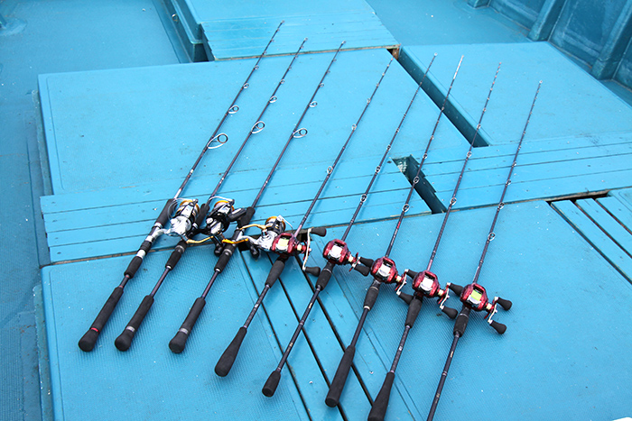 リールセット画像