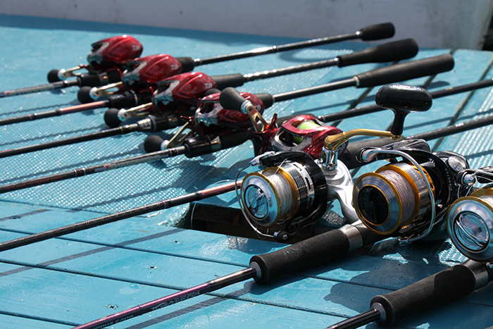 リールセット画像