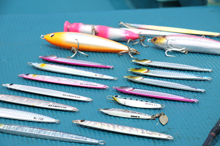 ジグ・プラグ、タイラバ画像